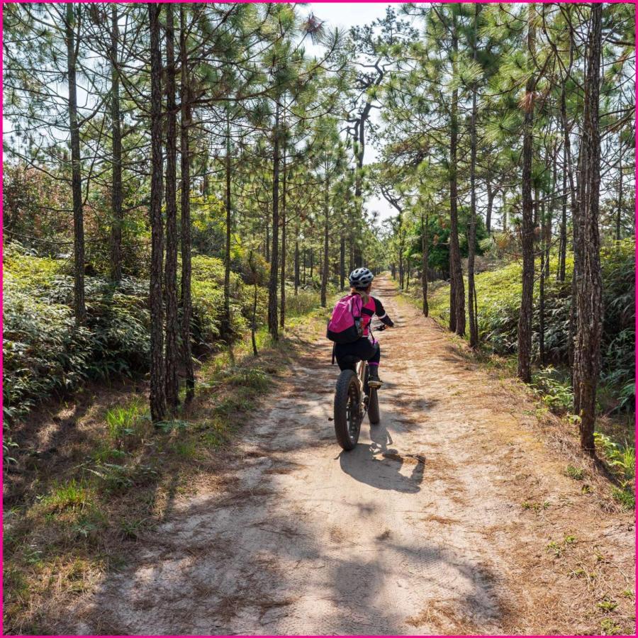 Mobilhome 2Ch Climatise-Terrasse Fermee-4 Velos-Camping 4 Etoiles Les Charmettes Les Mathes Ngoại thất bức ảnh